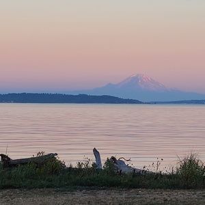 Meet your Posher, Malia